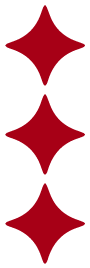 Red-Lotus-Tattoo-Mackay-Brenton-Hawkins-stars-vert